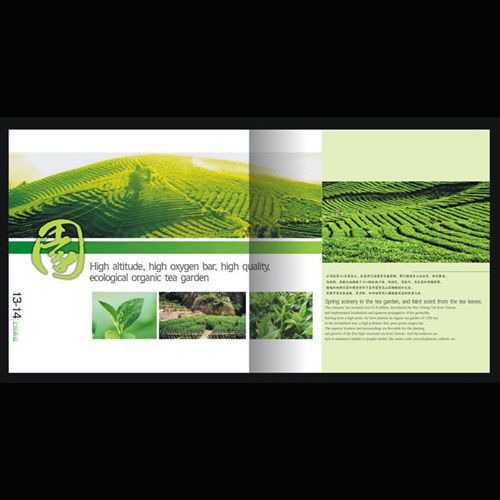 深圳产品图册与网站设计印刷服务 专业视觉呈现提升品牌价值